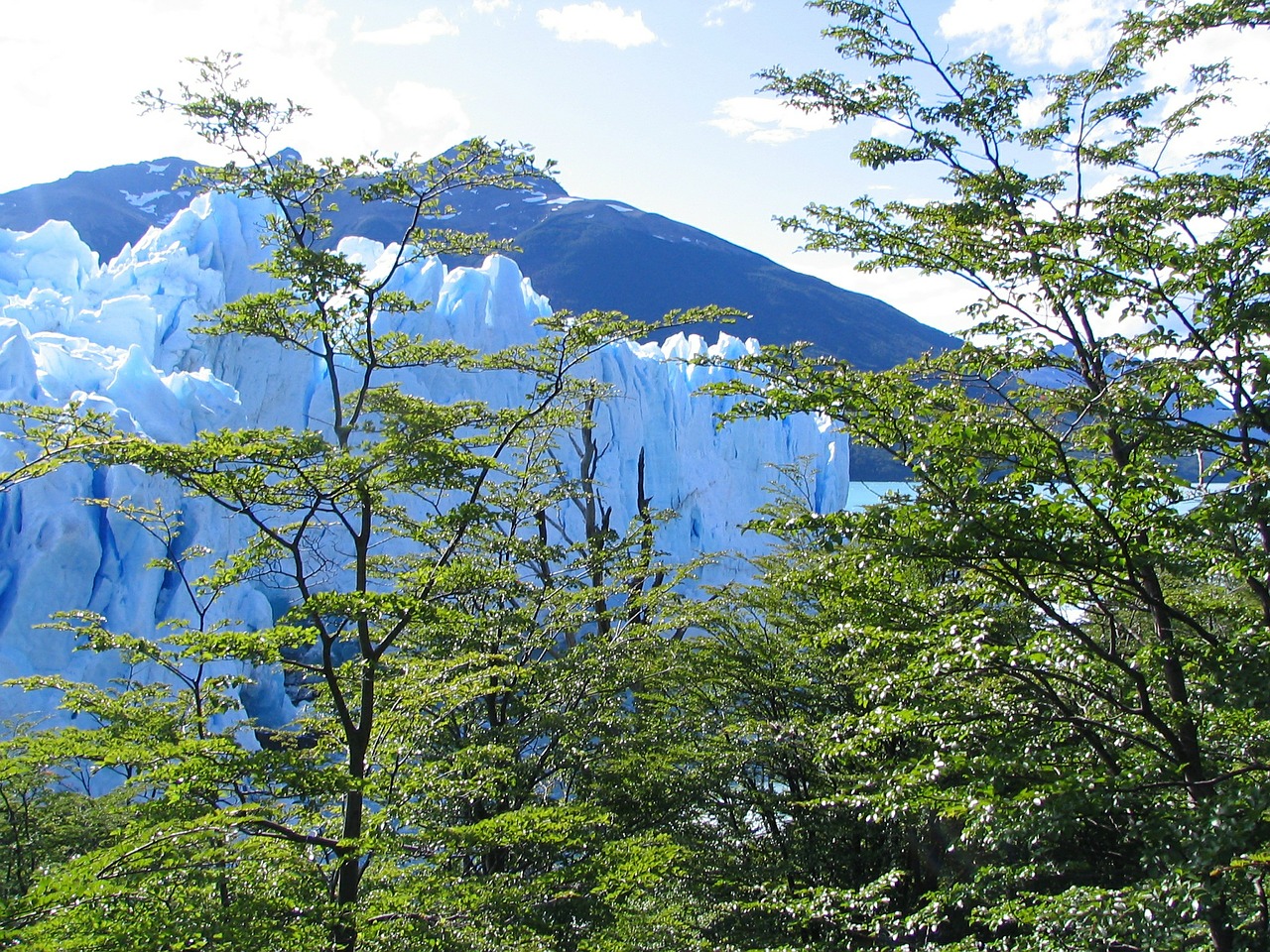 Ledynas, Gamta, Argentina, Kraštovaizdis, Perito Moreno, Nemokamos Nuotraukos,  Nemokama Licenzija