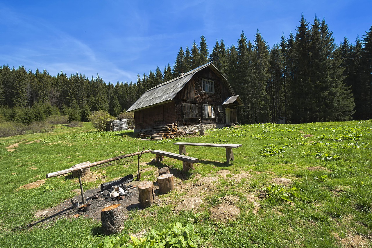 Laistymas, Kraštovaizdis, Gamta, Vasara, Žalumos, Miškas, Kelionė, Medžiai, Nemokamos Nuotraukos,  Nemokama Licenzija