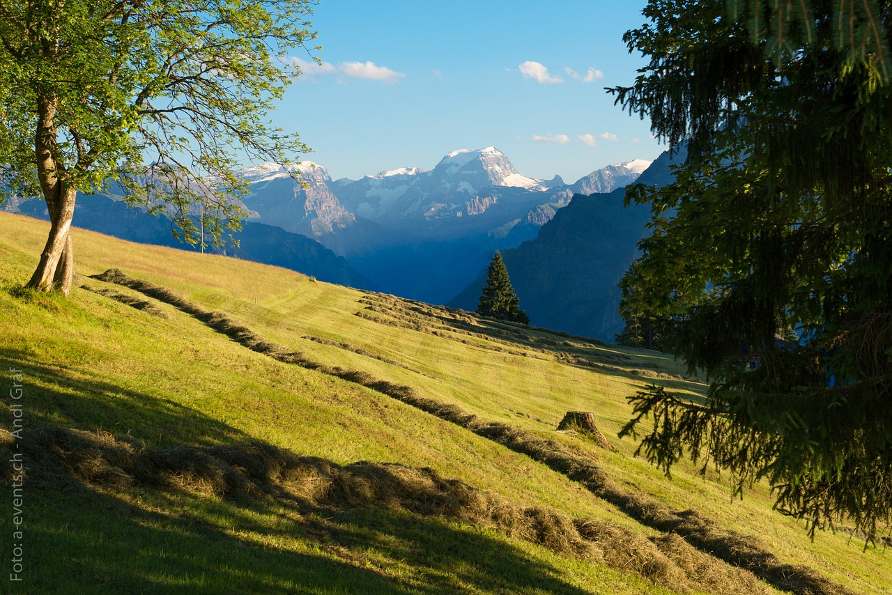 Glarus, Glarus Kantonas, Tödi, Glarus Alps, Alp, Vasara, Alpių Ganyklos, Kalnas, Šveicarija, Nemokamos Nuotraukos