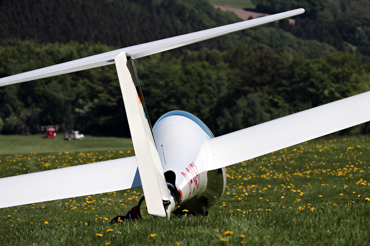 Sklandytuvas,  Meadow,  Skraidantis,  Orlaivių,  Oro Sportui,  Laisvalaikis,  Oro Uostas,  Sklandytuvas Pilotas,  Hobi,  Segelflug Sporto