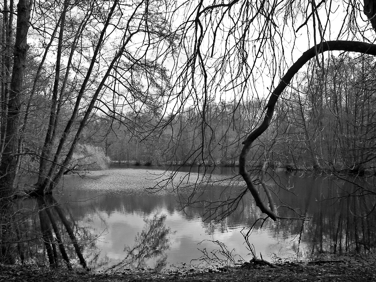 Niūrus, Gotika, Trueb, Melancholiškas, Depresija, Vaiduoklis, Bloga Oro Fotografija, Haunting, Tolkien, Mistinis