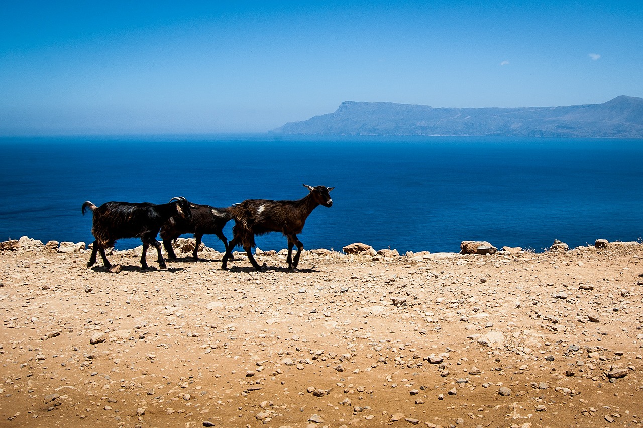 Ožkos, Graikija, Crete, Akmenys, Nemokamos Nuotraukos,  Nemokama Licenzija