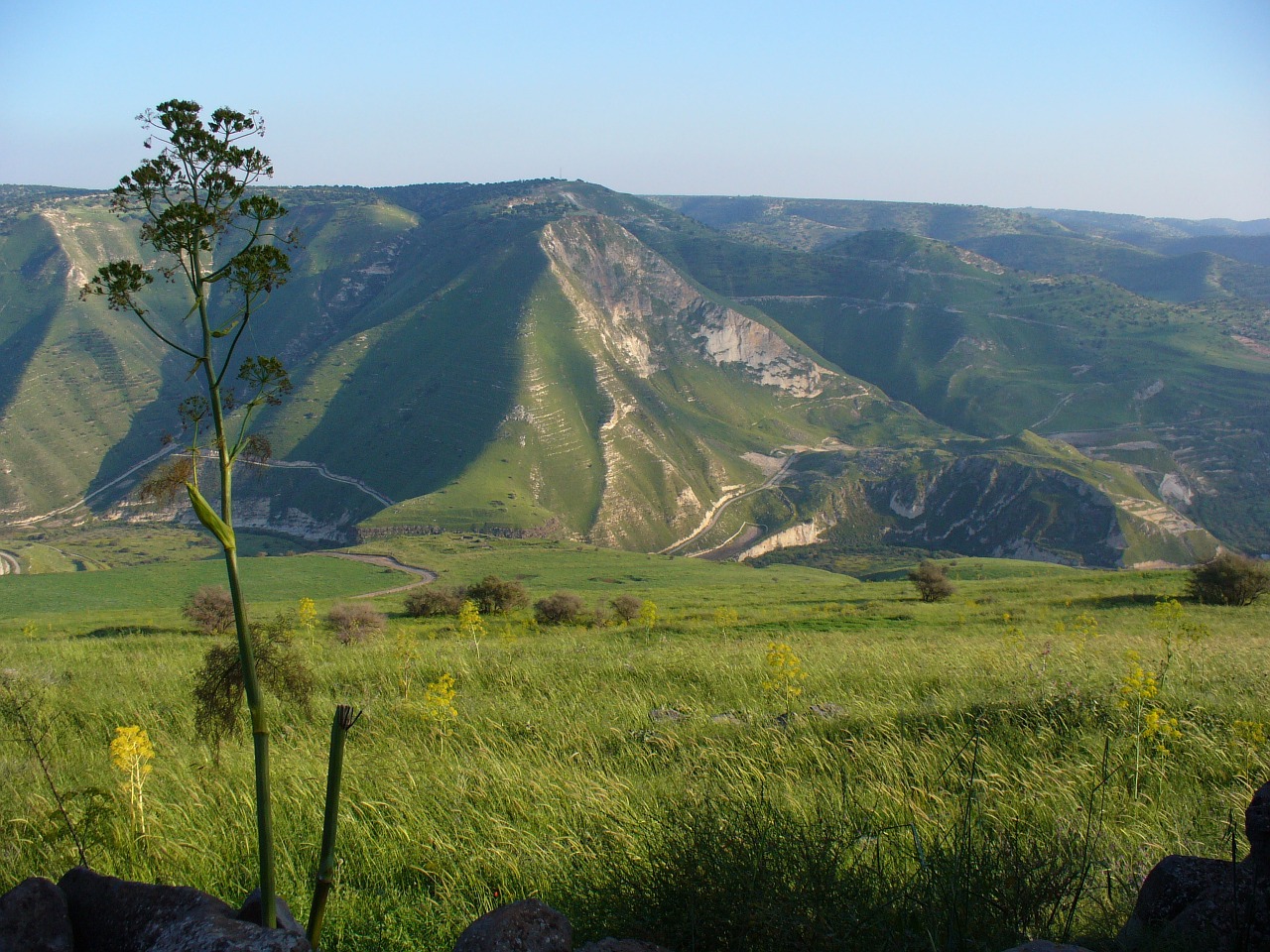 Golan, Izraelis, Kraštovaizdis, Kalnas, Nemokamos Nuotraukos,  Nemokama Licenzija