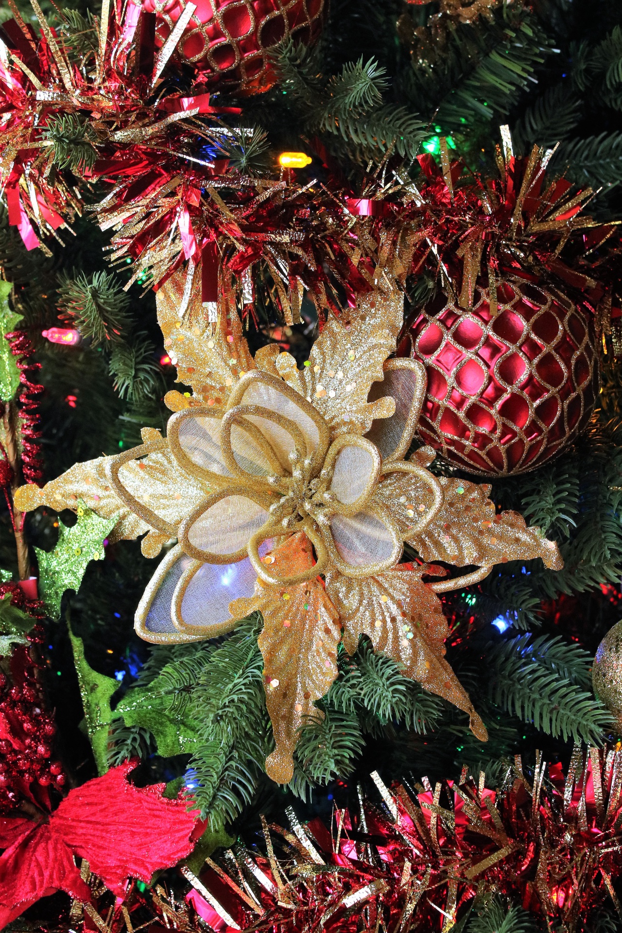 Kalėdos,  Ornamentas,  Apdaila,  Auksas,  Poinsettia,  Glittery,  Putojantis,  Gėlė,  Kalėdos & Nbsp,  Gėlė