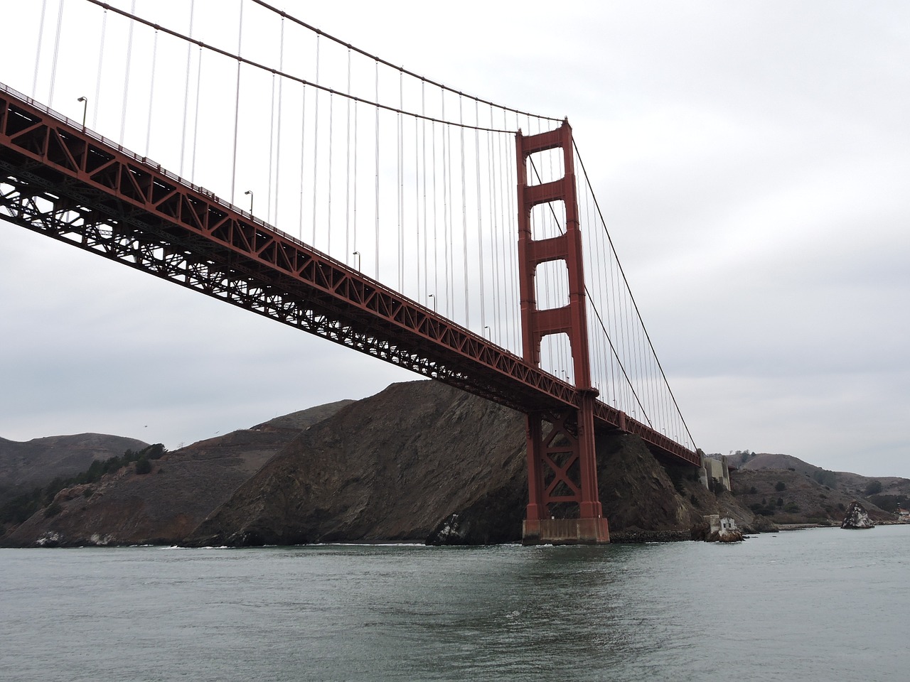 Auksinių Vartų Tiltas, San Franciskas, Žuvis, Usa, Nemokamos Nuotraukos,  Nemokama Licenzija