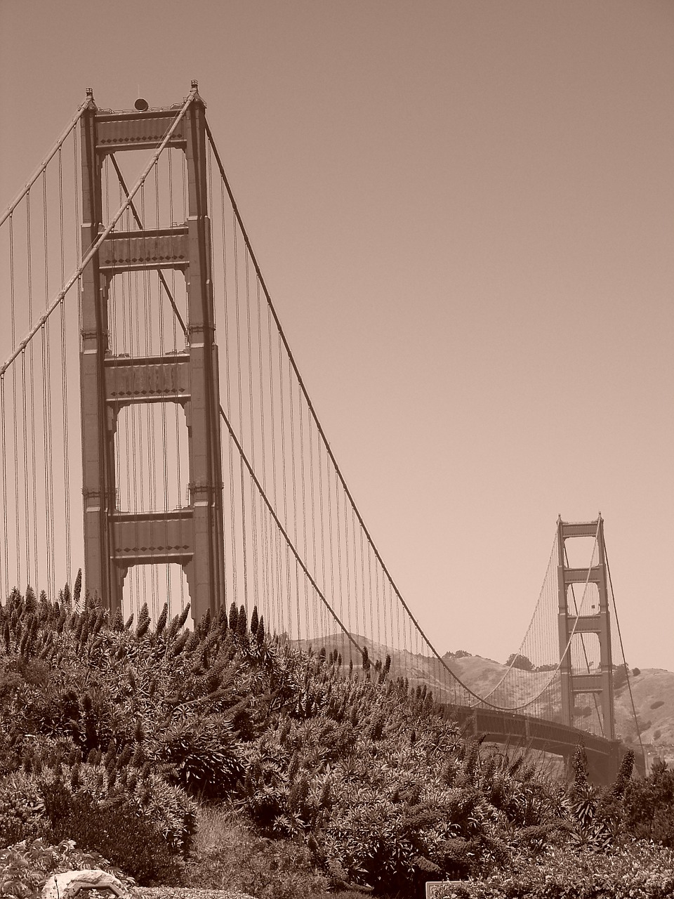 Auksinių Vartų Tiltas, Jungtinės Valstijos, San Franciskas, Tiltas, Kabantis Tiltas, Nemokamos Nuotraukos,  Nemokama Licenzija