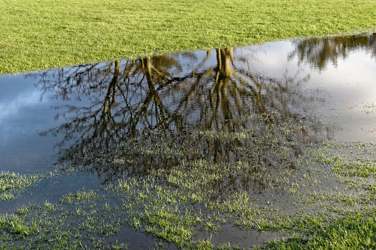 Golfas, Golfo Lauko Potvynis, Vanduo, Atspindys, Žinoma, Kraštovaizdis, Potvynis, Gamta, Lauke, Medžiai