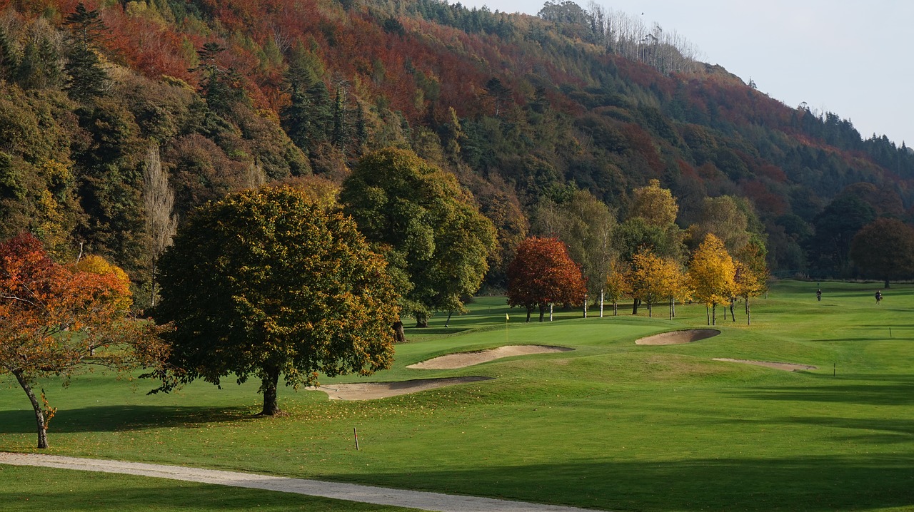 Golfas, Ruduo, Medžiai, Nemokamos Nuotraukos,  Nemokama Licenzija