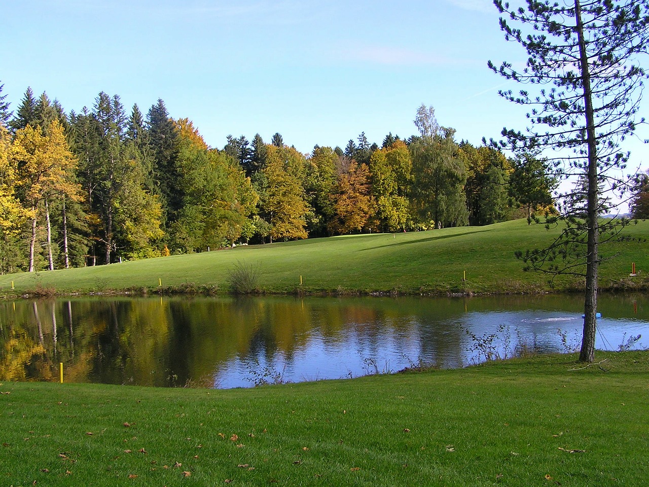 Golfas, Golfo Laukas, Pieva, Skubėti, Tvenkinys, Nemokamos Nuotraukos,  Nemokama Licenzija