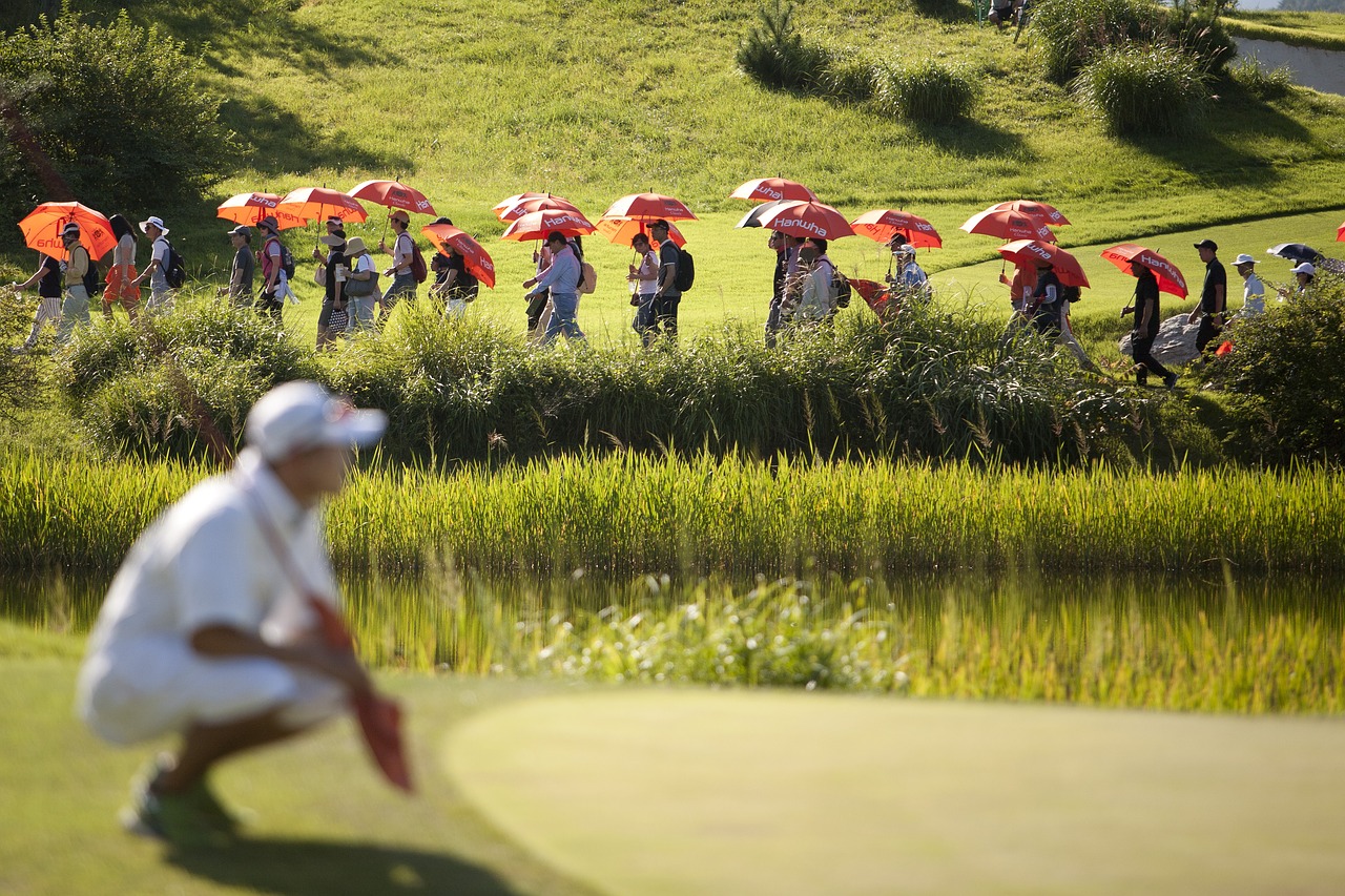 Golfas, Golfo Turnyras, Golfo Laukas, Golfo Žaidėjai, Įdėti, Nemokamos Nuotraukos,  Nemokama Licenzija