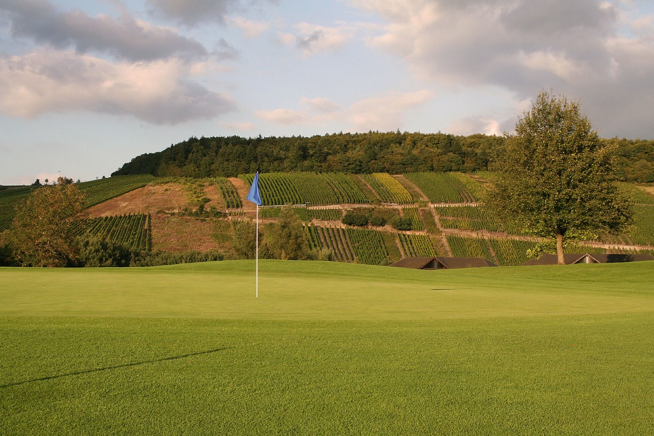 Golfas, Skubėti, Žalias, Vėliava, Skylė, Golfo Klubas, Įdėti, Trier, Vynuogynai, Nemokamos Nuotraukos