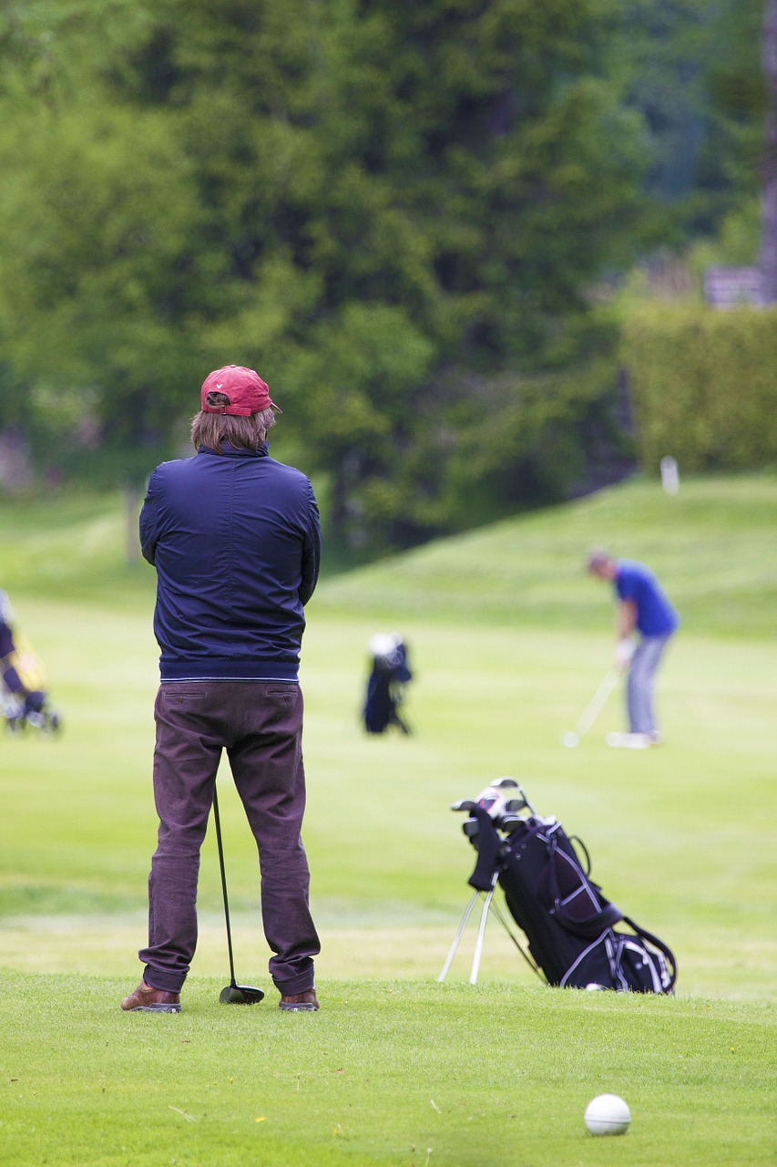 Golfas, Golfo Žaidėjas, Žolė, Golfas, Žinoma, Žaidimas, Įranga, Maišas, Nemokamos Nuotraukos,  Nemokama Licenzija