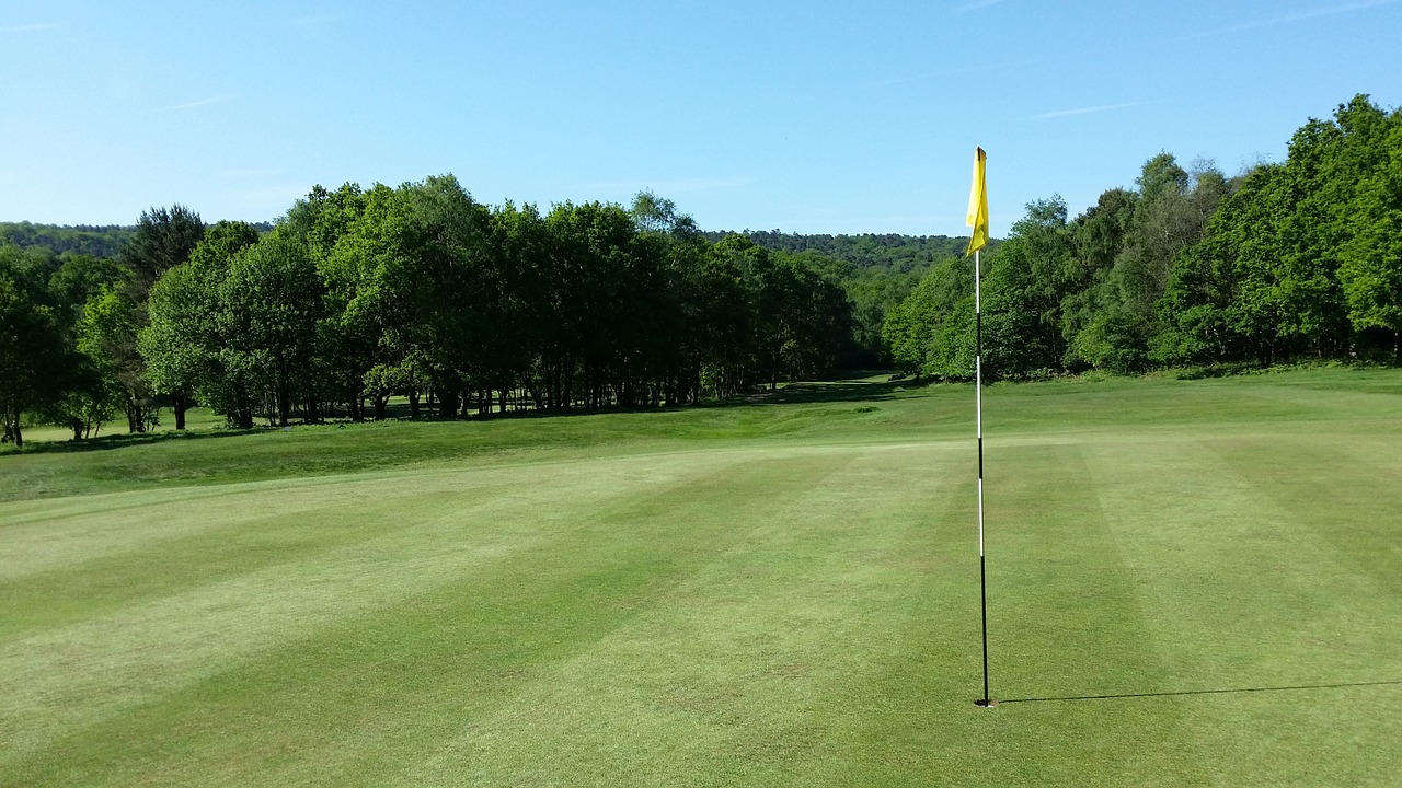 Golfas, Golfo Laukas, Žalias, Žolė, Kraštovaizdis, Lauke, Vasara, Golfas, Farvaterius, Vaizdingas