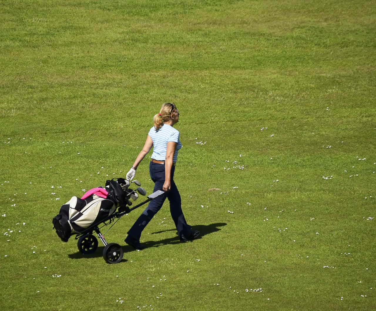 Golfas,  Golfo Žaidėjas,  Sportas,  Klubas,  Rutulys,  Golfas,  Žinoma,  Laisvalaikis,  Sūpynės,  Poilsis