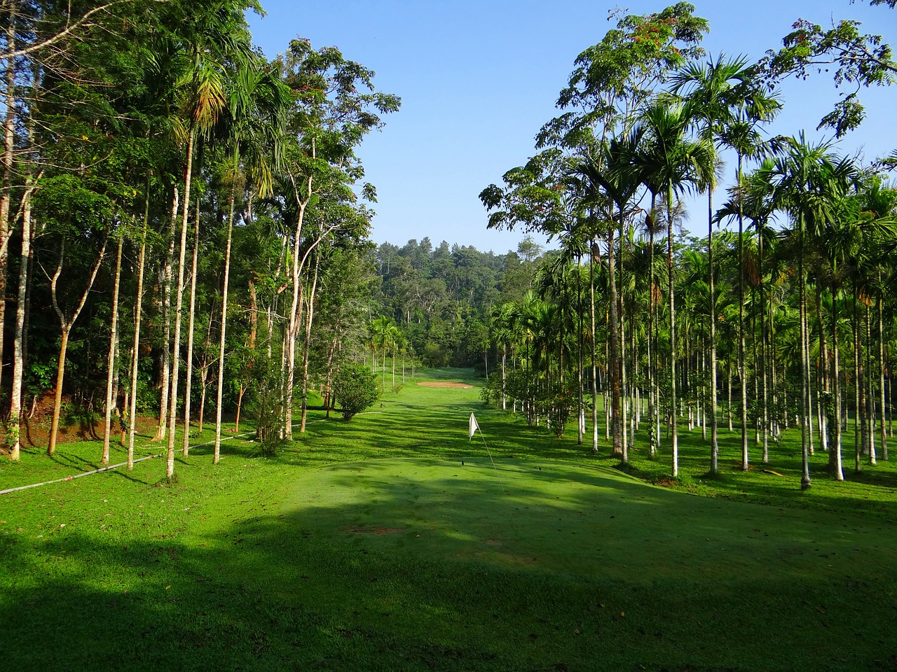 Golfo Laukas, Golfas, Sportas, Veja, Ammathi, Karnataka, Indija, Nemokamos Nuotraukos,  Nemokama Licenzija