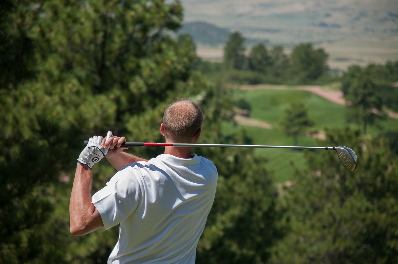 Golfo Žaidėjas, Golfas, Sportas, Golfas, Žinoma, Poilsis, Nemokamos Nuotraukos,  Nemokama Licenzija