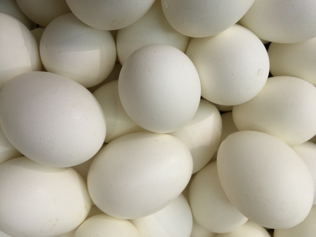 Žąsies Kiaušinis, Žąsų Kiaušiniai, Velykinis Kiaušinis, Apdaila, Kiaušinis, Velykos, Pavasaris, Deco-Ei, Natūralus Produktas, Velykų Lizdas