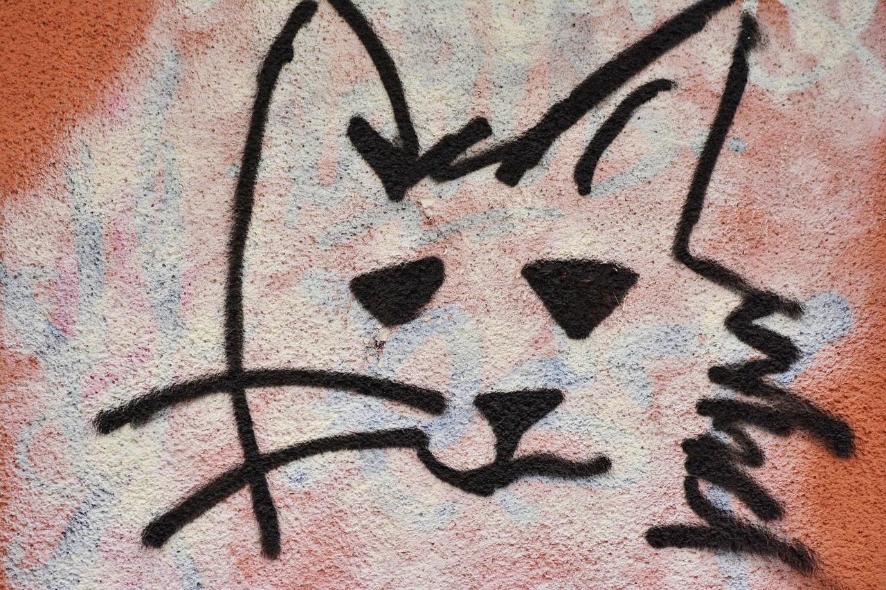 Grafiti, Katė, Hauswand, Gatvės Menas, Purkšti, Dažytos Sienos, Kačių Veido, Dažytos, Tinkas, Nemokamos Nuotraukos