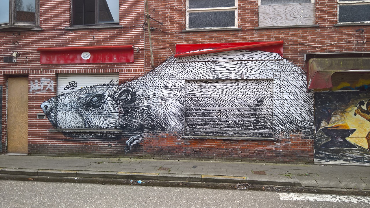 Grafiti, Doel, Belgija, Nemokamos Nuotraukos,  Nemokama Licenzija