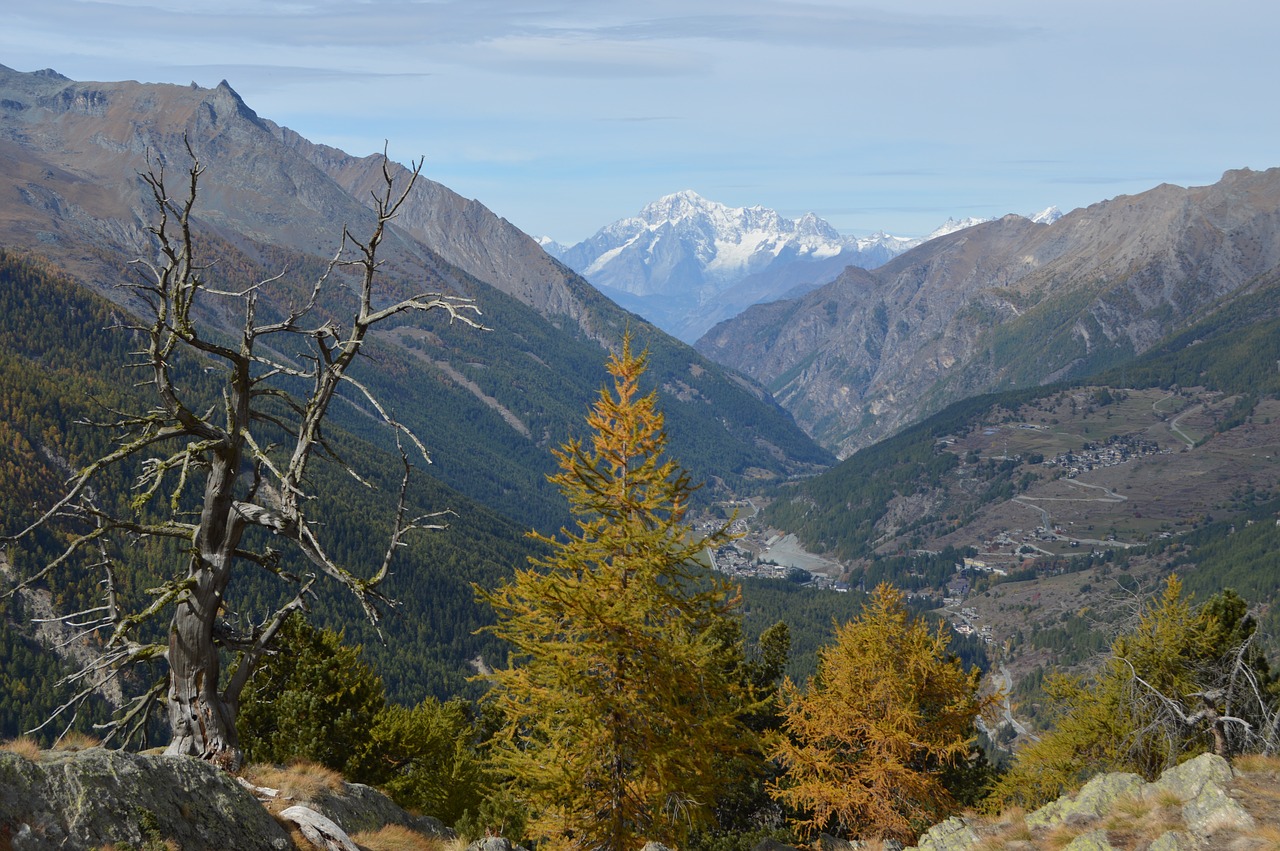 Gran Paradiso, Italy, Mont Blanc, Gamtos Parkai, Ruduo, Nemokamos Nuotraukos,  Nemokama Licenzija