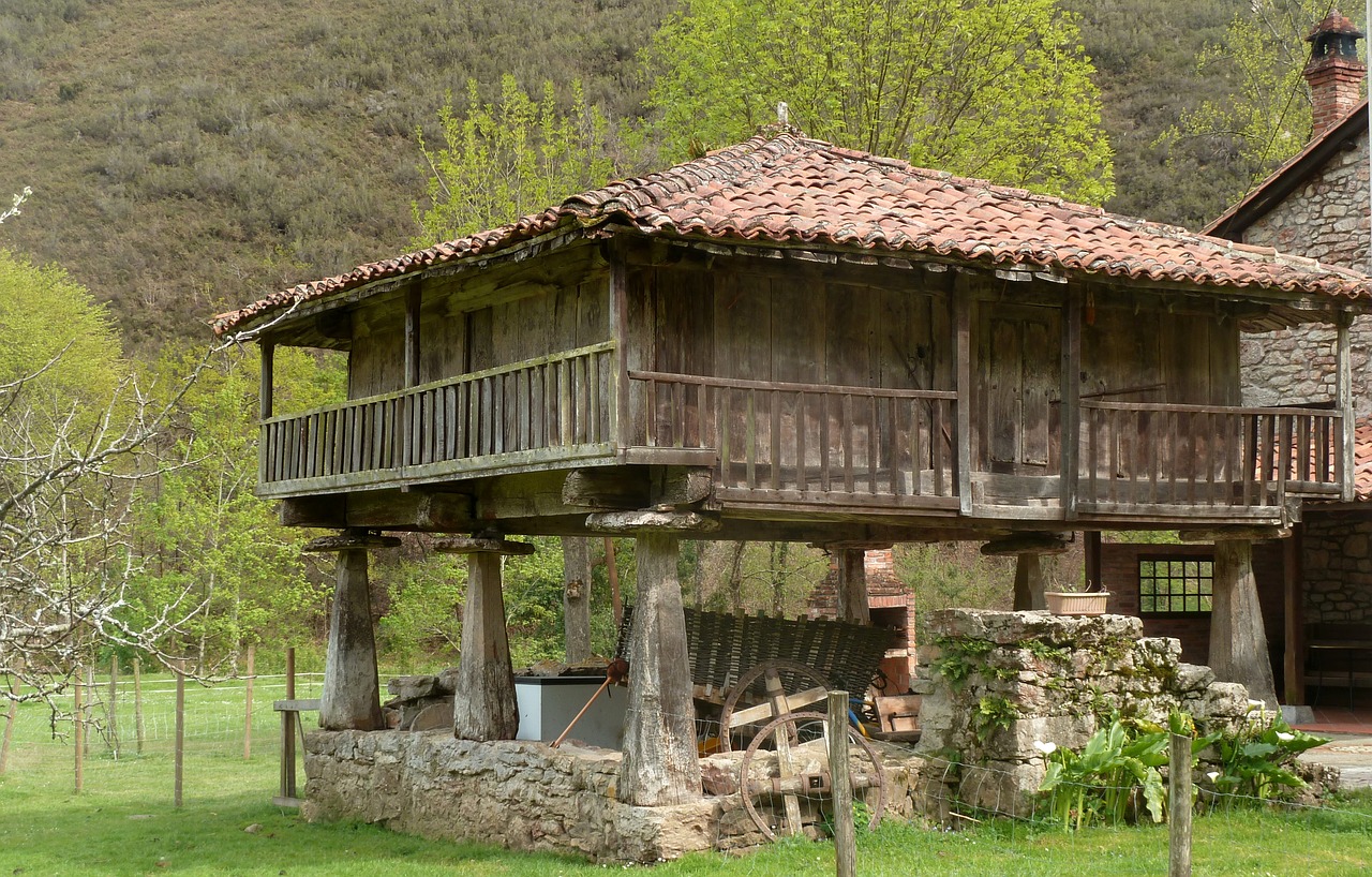 Kriauklė, Laukas, Asturias, Ispanija, Nemokamos Nuotraukos,  Nemokama Licenzija