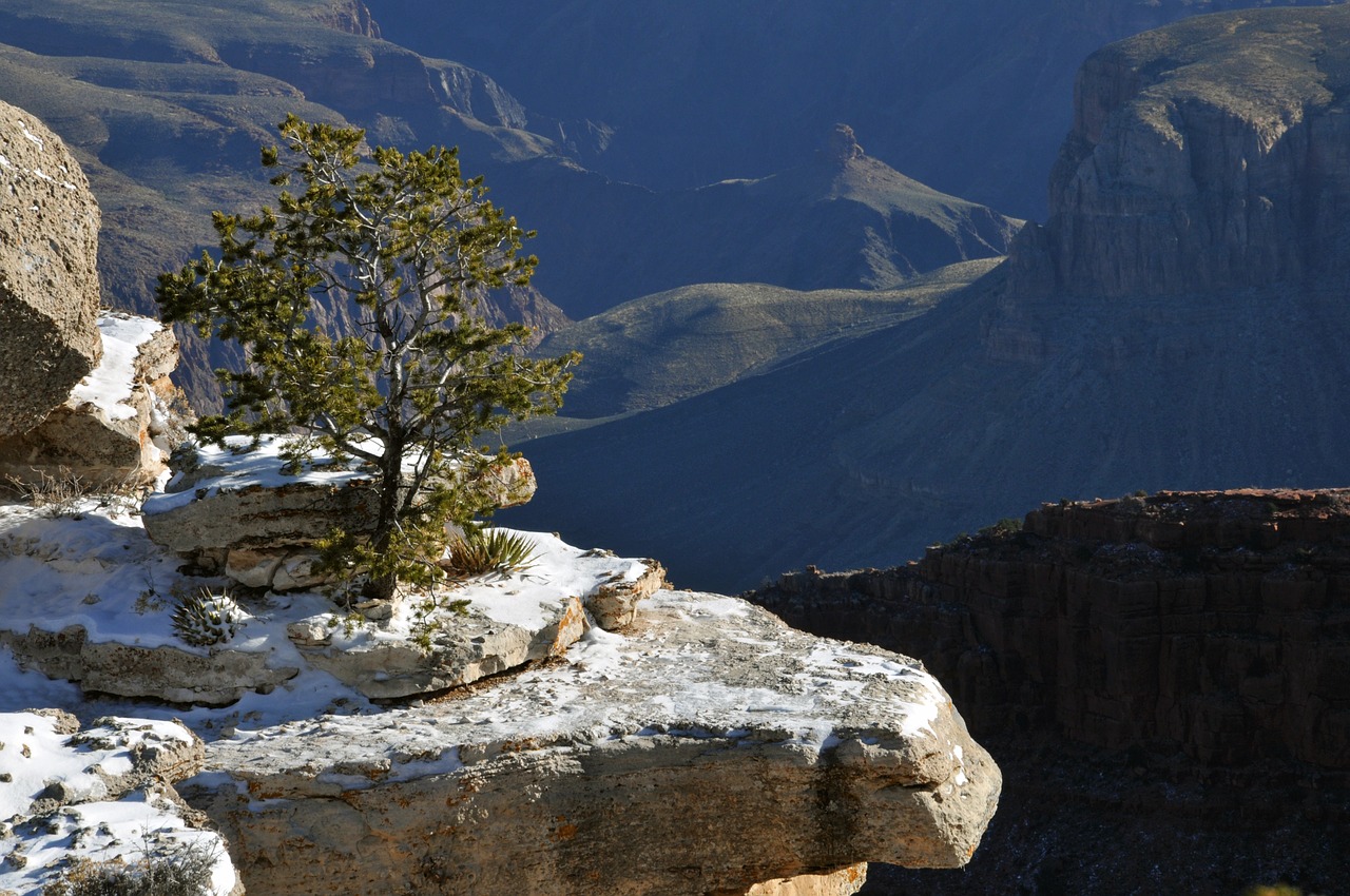 Didysis Kanjonas, Arizona, Gorge, Žiema, Medis, Ledge, Sniegas, Geologija, Slėnis, Kanjonas