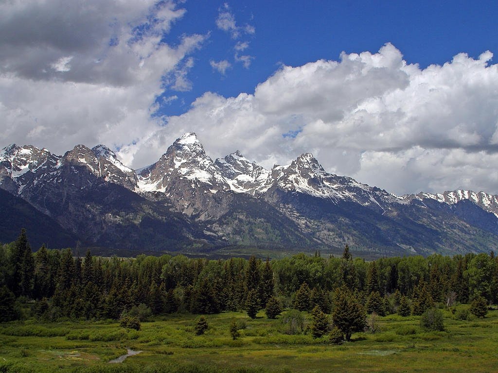 Grand Teton Gėlės, Vajomingas, Usa, Gamta, Kalnai, Nacionalinis Parkas, Nemokamos Nuotraukos,  Nemokama Licenzija