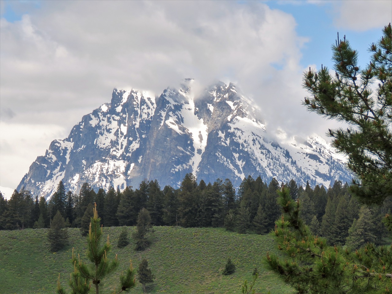 Grand Tetons,  Vajomingas,  Žygiai,  Kalnai,  Medžiai,  Dangus, Nemokamos Nuotraukos,  Nemokama Licenzija