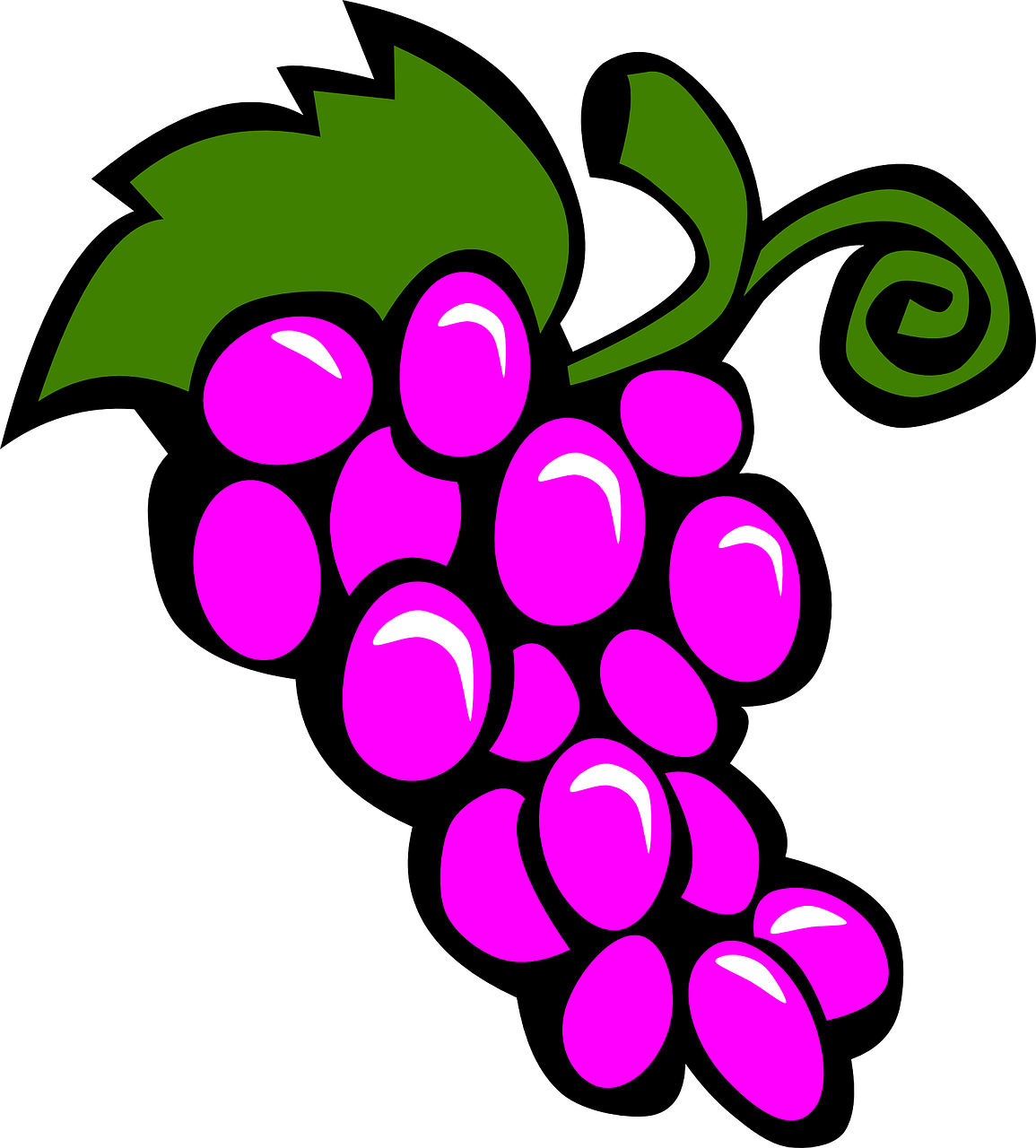 Vynuogė, Violetinė, Vynuogės, Vynuogynai, Vynmedis, Augalas, Vaisiai, Maistas, Prinokę, Šviežias