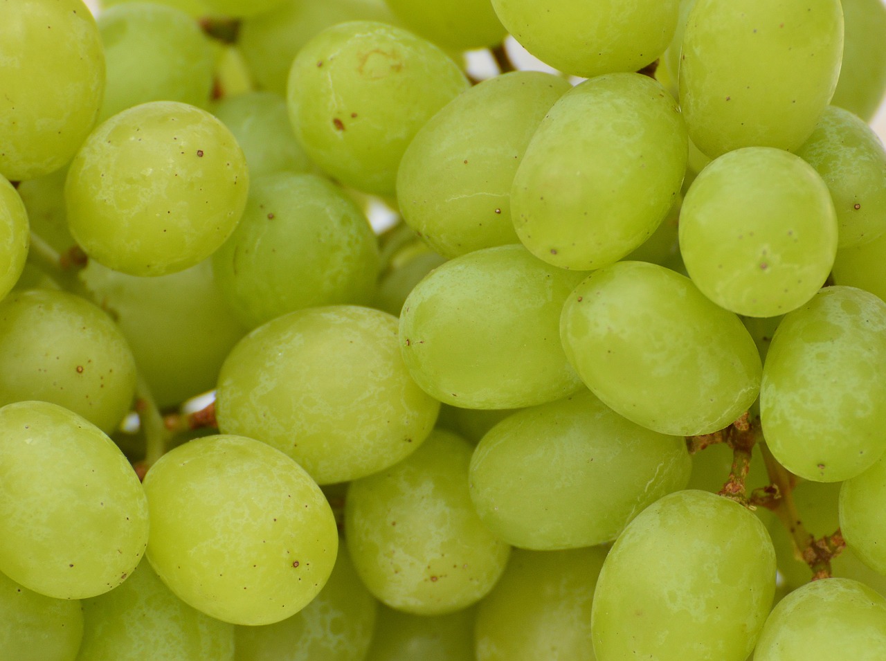 Vynuogės, Vaisiai, Sveikas, Vaisiai, Maistas, Žalias, Saldus, Gamta, Prinokusios Vynuogės, Žaliosios Vynuogės