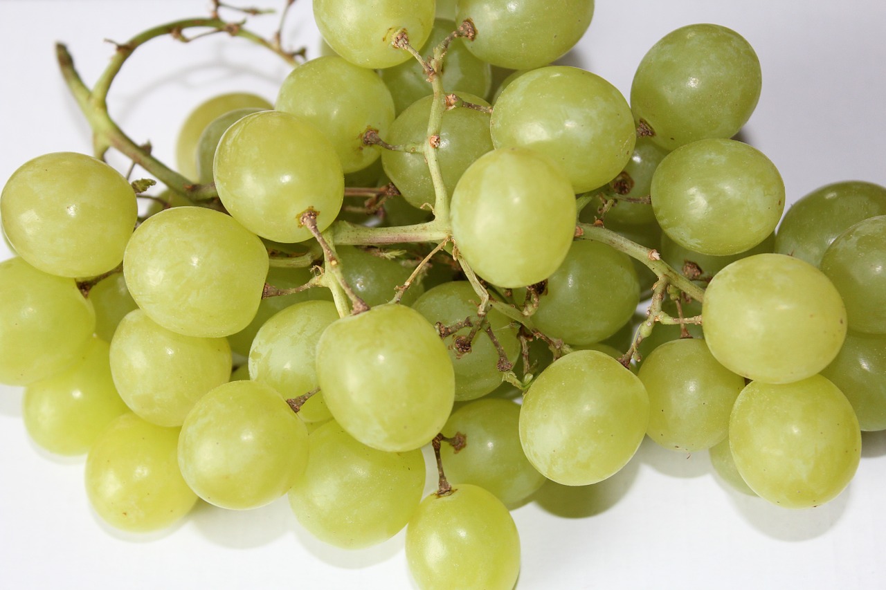 Vynuogės, Vaisiai, Žalias, Nemokamos Nuotraukos,  Nemokama Licenzija
