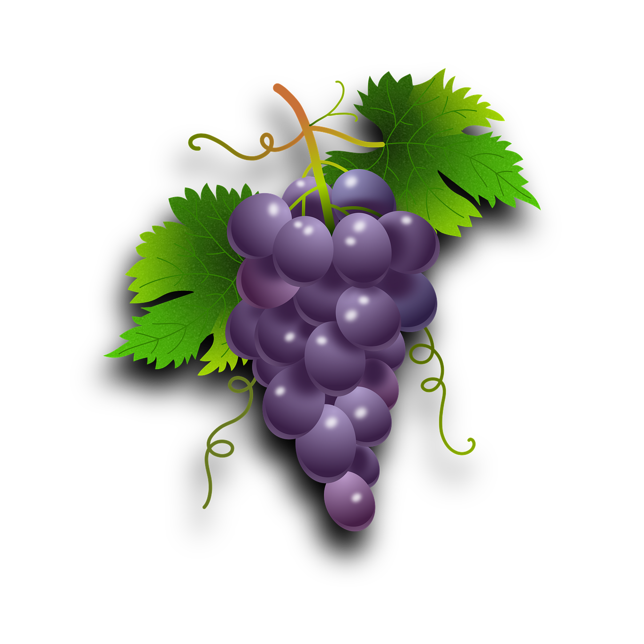 Vynuogės, Vynmedis, Vynuogynas, Vynas, Vaisių Sodas, Augalai, Gamta, Daržovių, Parras, Gerti