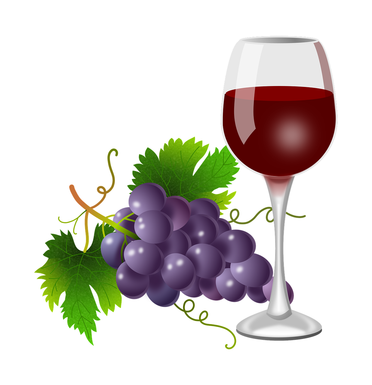 Vynuogės, Stiklas, Vynmedis, Vynuogynas, Vynas, Augalai, Gamta, Daržovių, Parras, Gerti