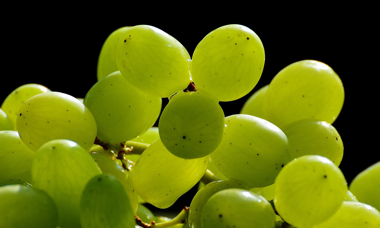 Vynuogės,  Vaisiai,  Sveikas,  Vaisiai,  Maistas,  Žalias,  Saldus,  Gamta,  Prinokusios Vynuogės,  Žaliosios Vynuogės