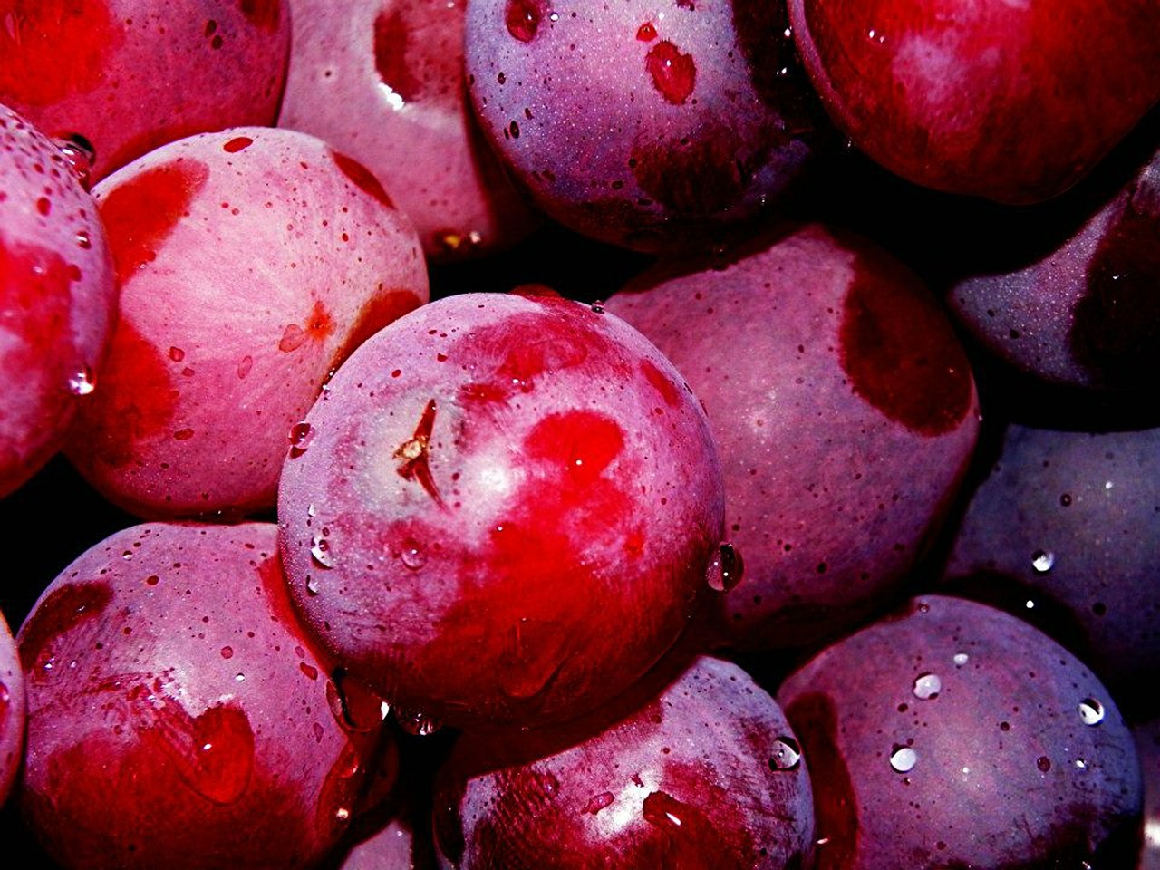 Vynuogės, Vaisiai, Vynuogė, Nuplauti Vaisius, Nemokamos Nuotraukos,  Nemokama Licenzija