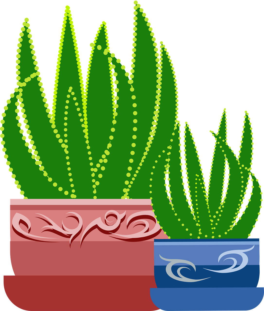 Grafinis,  Aloe,  Augalų,  Kaktusas,  Botanikos,  Gijimas,  Ramina,  Žalias,  Puodai,  Nemokama Vektorinė Grafika