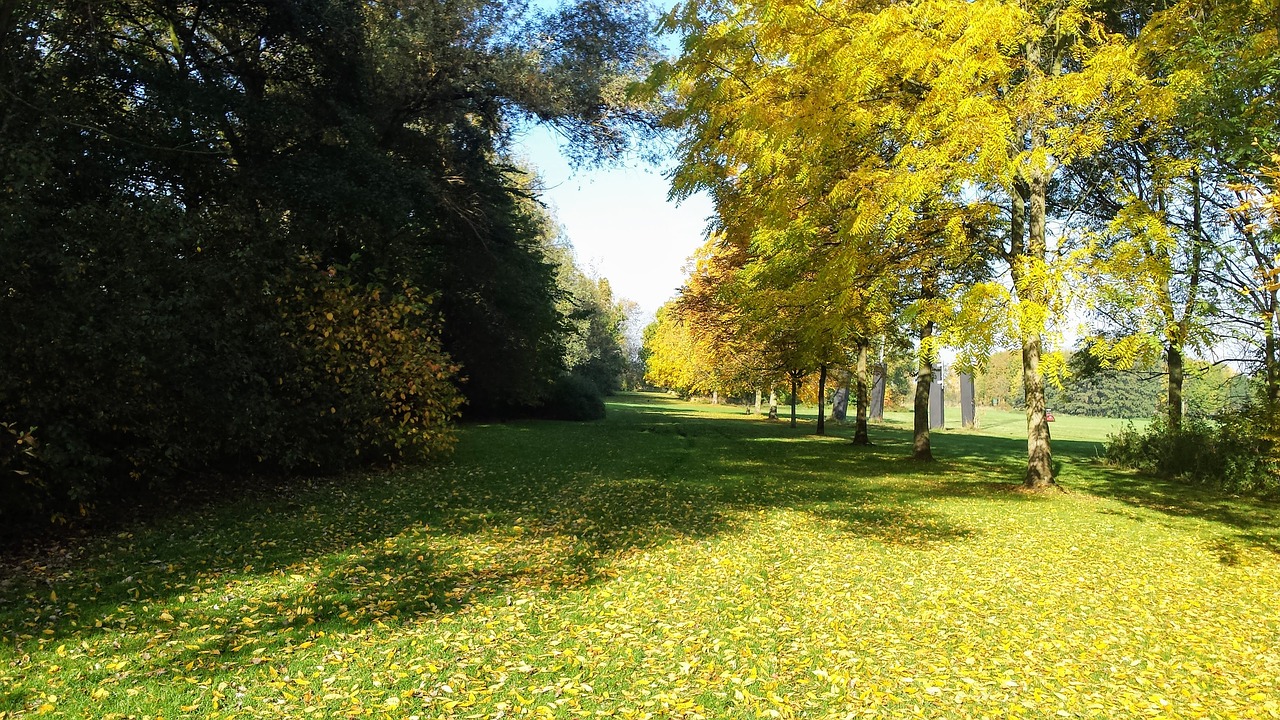 Žolė, Sodas, Žydėti, Belgija, Medžiai, Krūmai, Kritimo Spalvos, Lapai, Žemė, Žalia Žolė