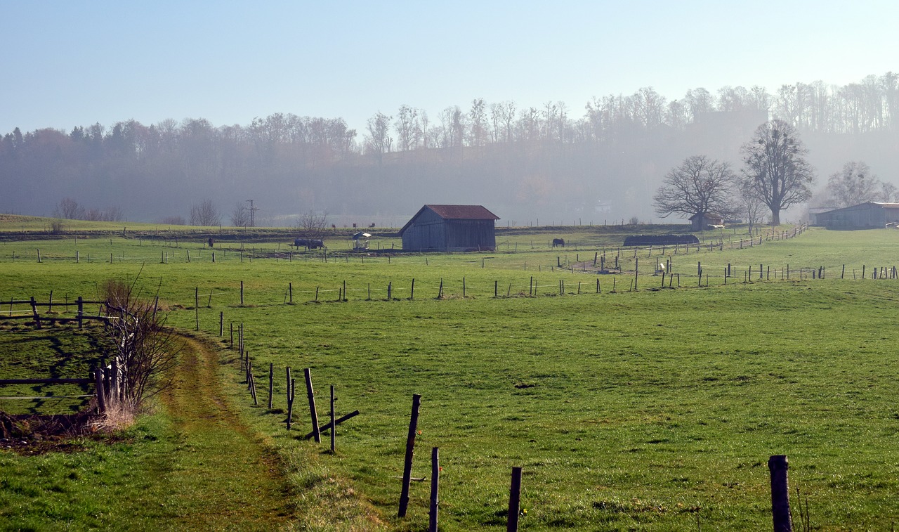 Žolė,  Pobūdį,  Žemdirbystė,  Laukas,  Ūkis,  Kraštovaizdis,  Panorama,  Tvartas,  Kaimo,  Pieva