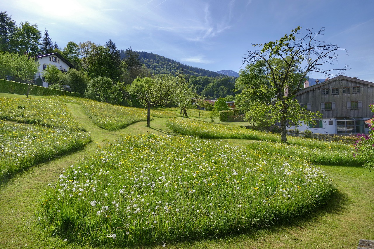 Žolė,  Pobūdį,  Kraštovaizdis,  Vasara,  Laukas,  Medis,  Panorama,  Meadow,  Dangus,  Rush