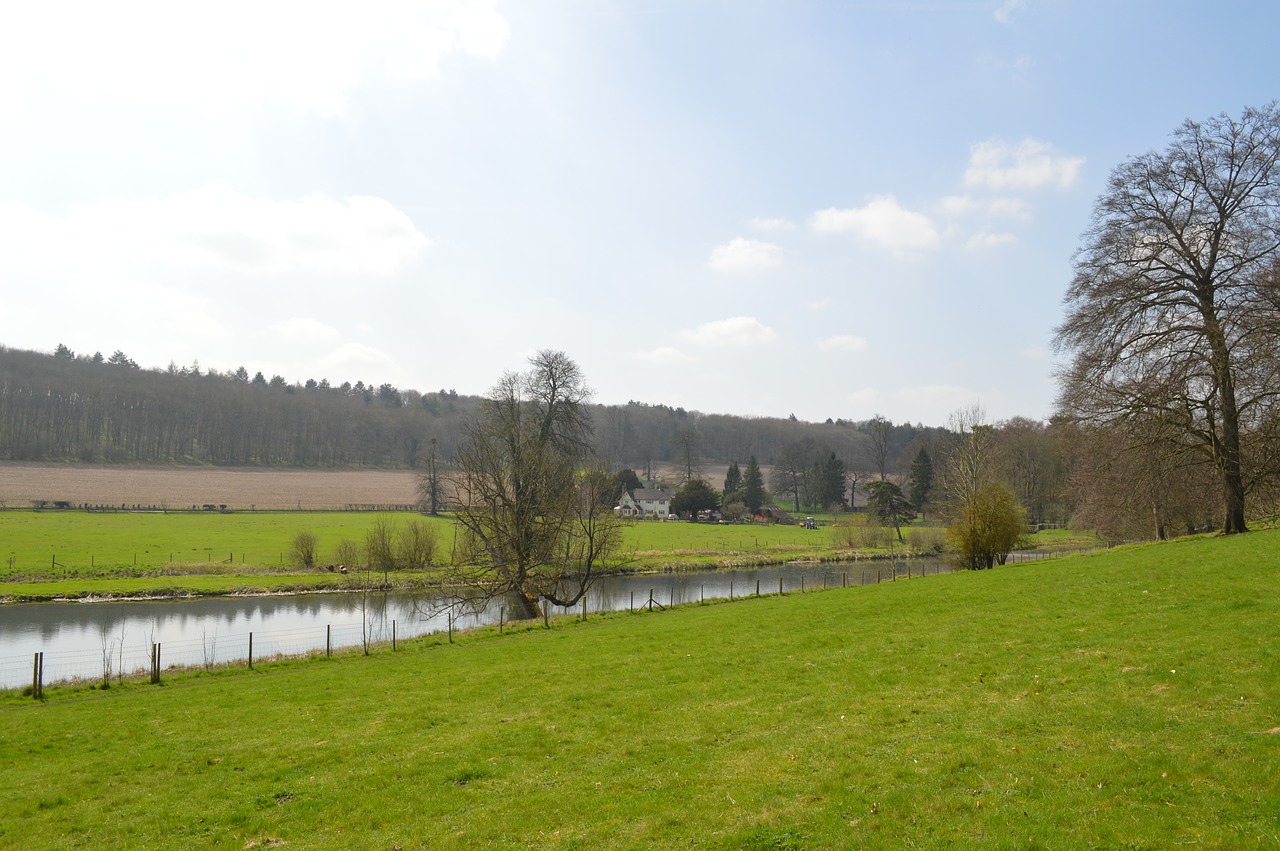 Žolė,  Pobūdį,  Medis,  Panoraminis,  Kraštovaizdis,  Ūkis,  Lauko,  Panorama,  Vasara,  Natūralus