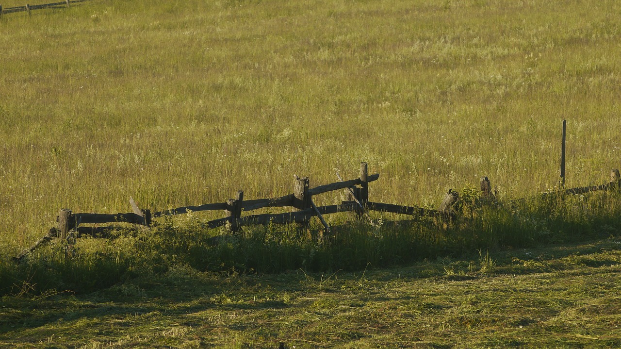 Žolė,  Pobūdį,  Laukas,  Agrofirma ,  Horizontali,  Kraštovaizdis,  Ūkis,  Šienavimo,  Kaimo,  Panoraminis