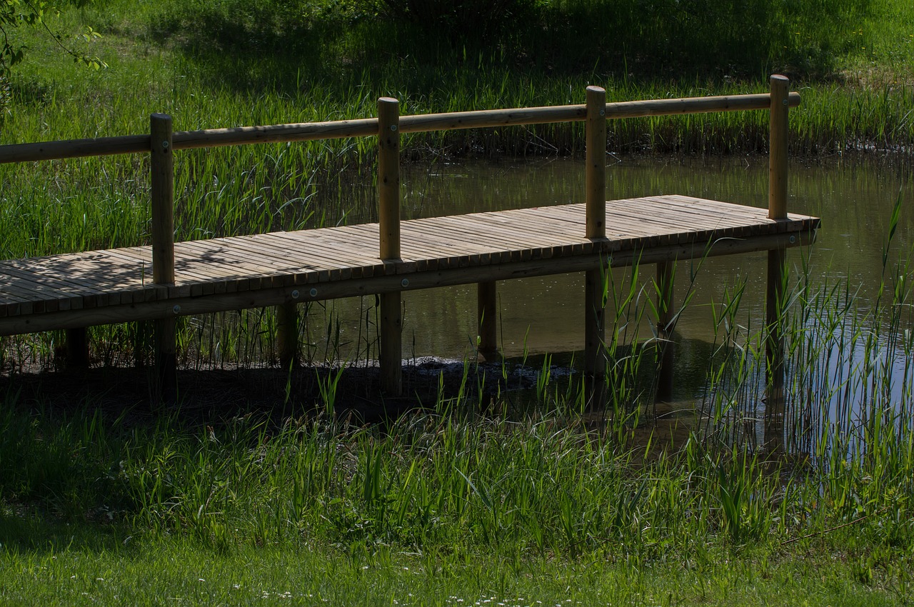 Žolė,  Interneto,  Boardwalk,  Mediena,  Tvora,  Pobūdį,  Kaimiškas,  Vandens,  Kaimo,  Sodas