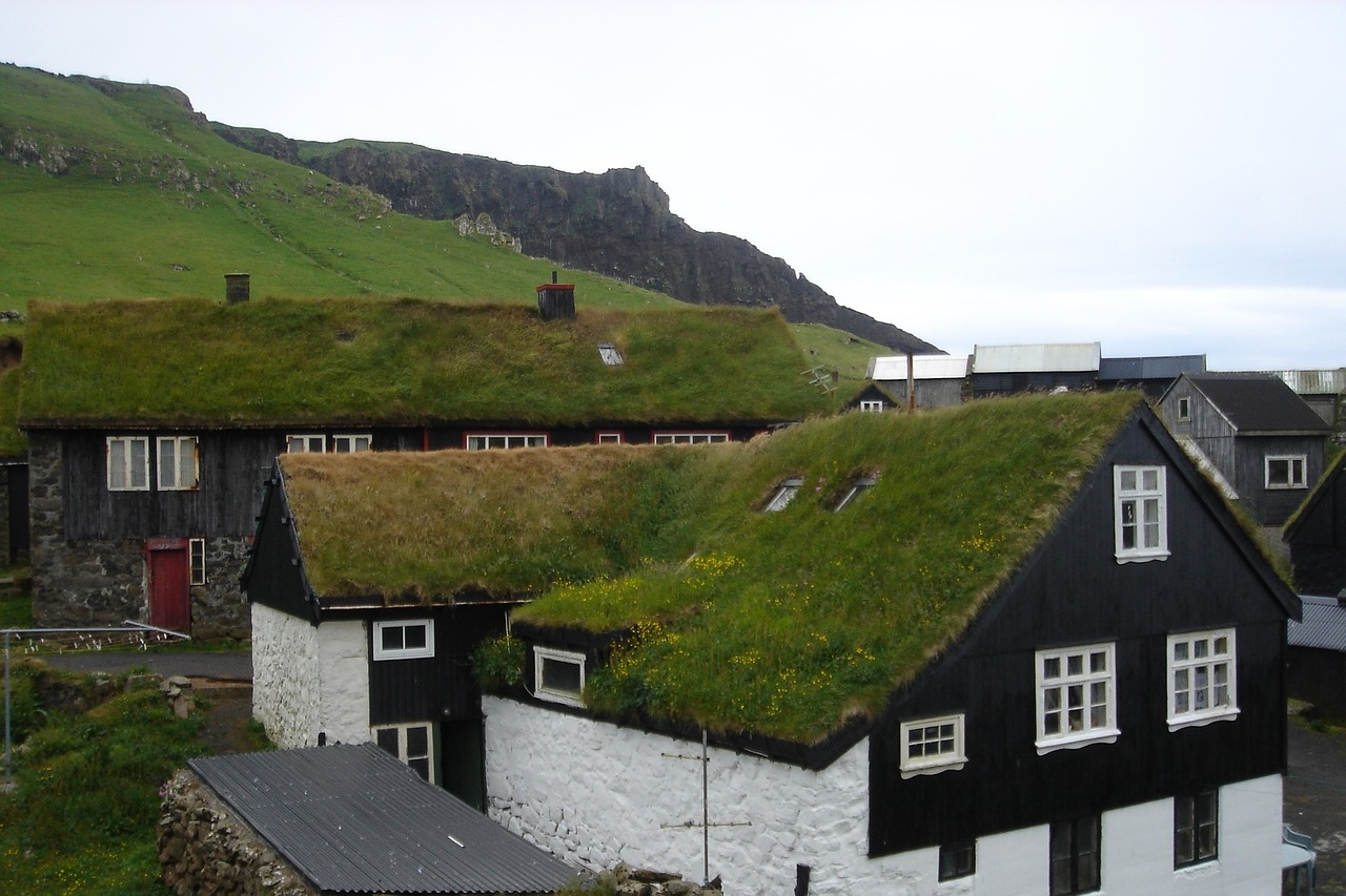 Žolė, Faroe, Salos, Nemokamos Nuotraukos,  Nemokama Licenzija