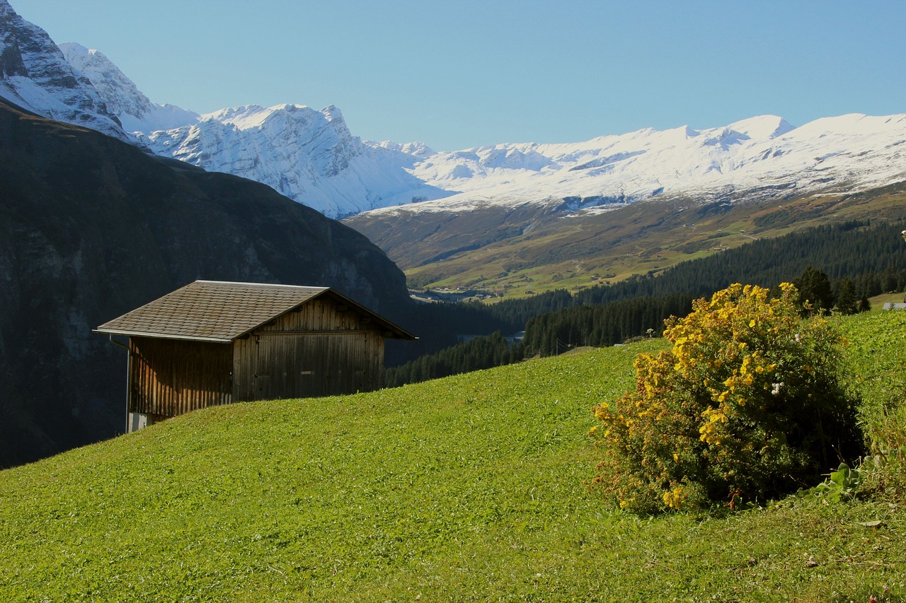 Graubünden, Šveicarija, Alpių, Kalnai, Alp, Kraštovaizdis, Šveicarija Graubünden, Gamta, Safieno Slėnis, Nemokamos Nuotraukos