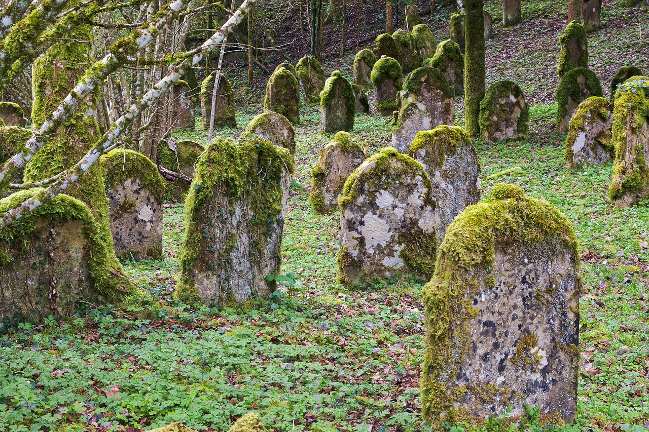 Kapų Akmenys,  Žydų Kapinės,  Metai,  Kapinės,  Miškas,  Hill,  Nuolydis,  Paminklas,  Juodasis Miškas, Nemokamos Nuotraukos