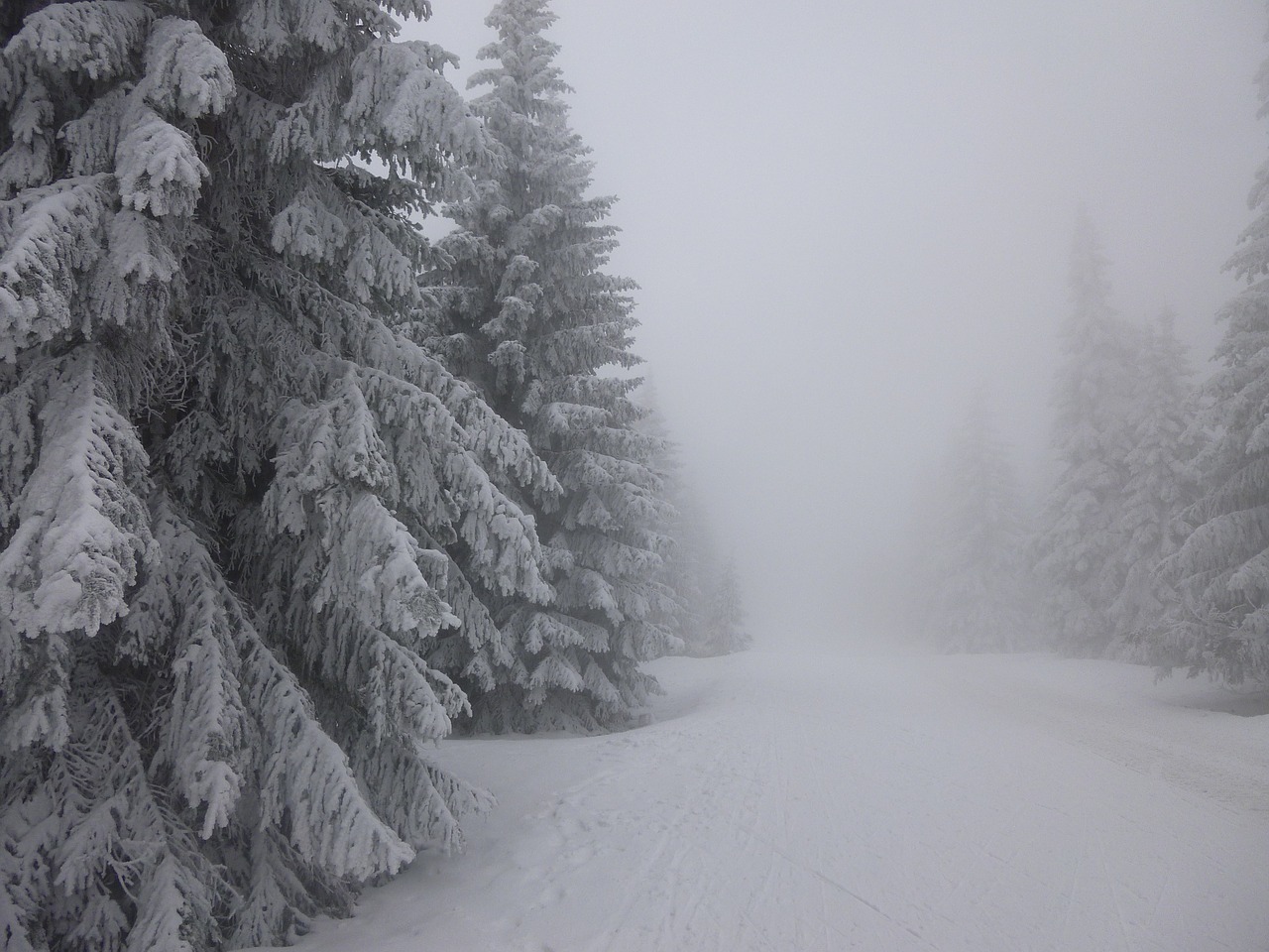 Pilka,  Žiema,  Balta,  Šaltas,  Xmas,  Gamta,  Ledas,  Sniegas,  Kalėdos,  Lauke