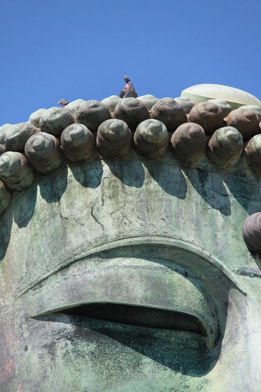 Puiki Buda, Balandžiai Galvoje, Statula, Japonija, Kōtoku-In Šventykla, Balandis, Paukštis, Taika, Skulptūra, Bronza
