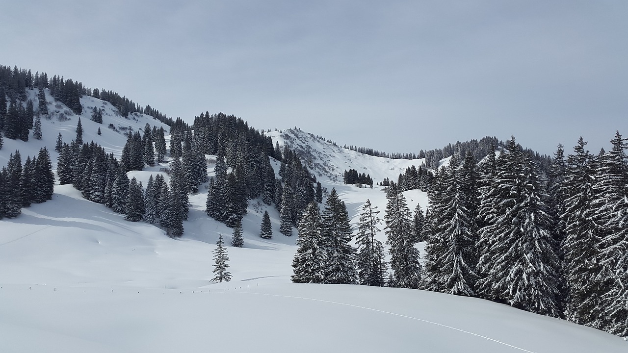 Puikus Vėžys, Allgäu, Gunzesrieder Slėnis, Žiema, Sniegas, Žiemos Sportas, Aukščiausiojo Lygio Susitikimas, Miškas, Gamta, Nemokamos Nuotraukos