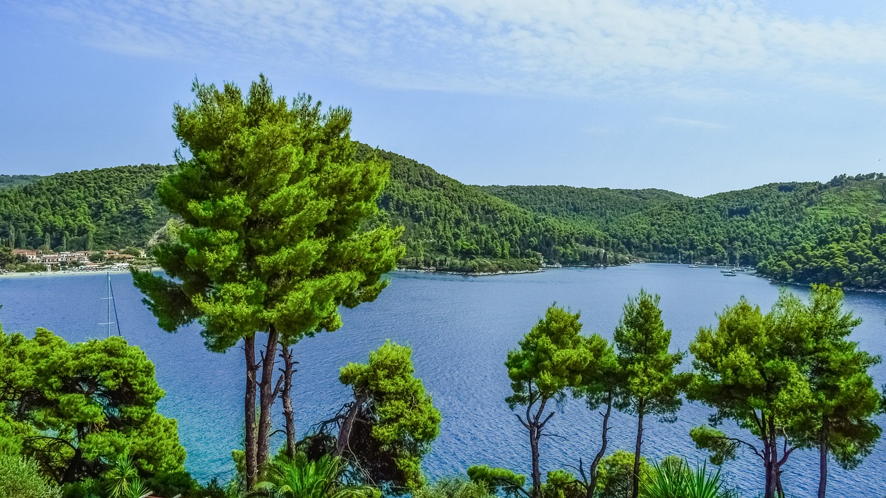 Graikija, Skopelos, Andrines, Kraštovaizdis, Medžiai, Sala, Graikų Kalba, Sporadai, Viduržemio Jūros, Aegean