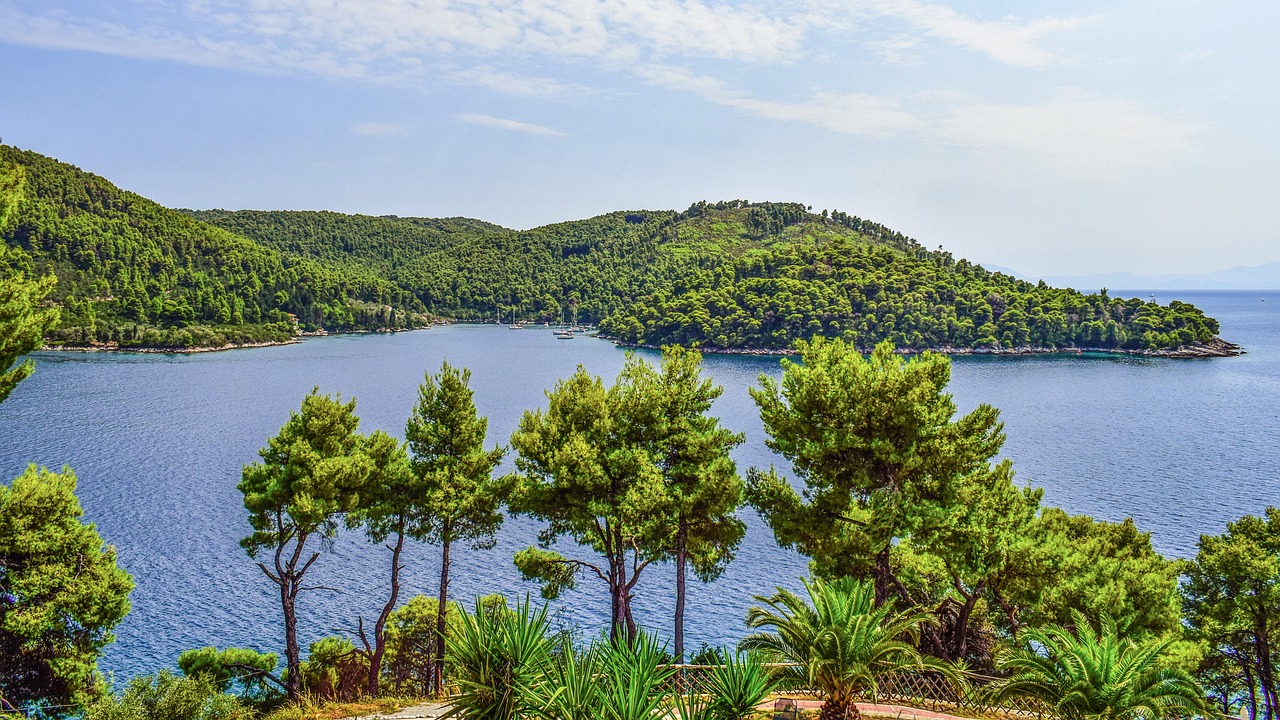 Graikija, Skopelos, Andrines, Kraštovaizdis, Medžiai, Sala, Graikų Kalba, Sporadai, Viduržemio Jūros, Aegean